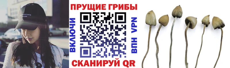 Галлюциногенные грибы Magic Shrooms сайты даркнета официальный сайт Петров Вал где купить наркотик